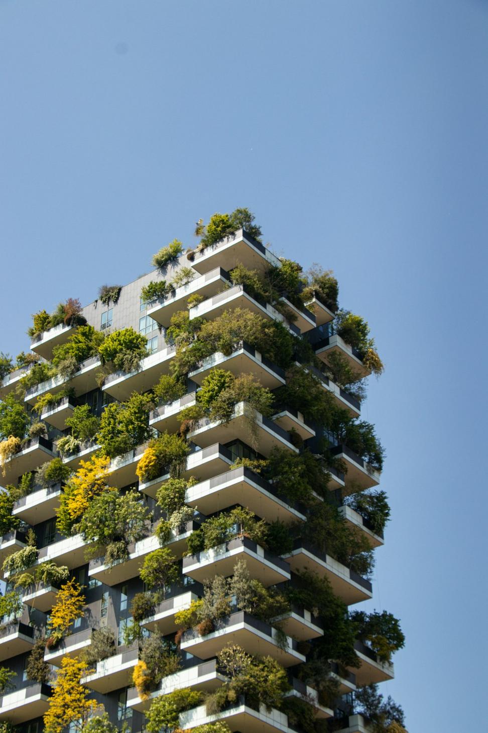 Sustainable architecture